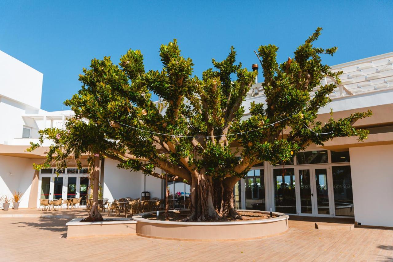 Torre Cintola Greenblu Sea Emotions Hotel Monopoli Exterior photo